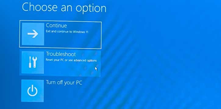 Windows 11 Advanced boot screen