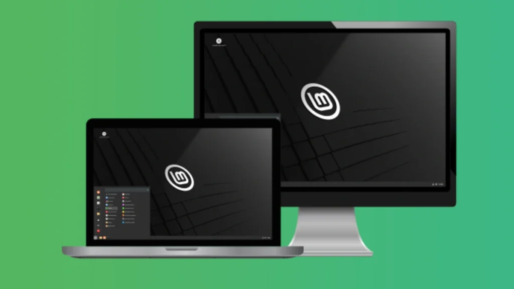 Linux Mint installation guide