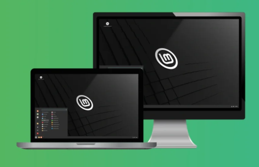 Install Linux Mint on External SSD