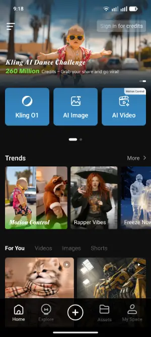 Kling AI mode selection