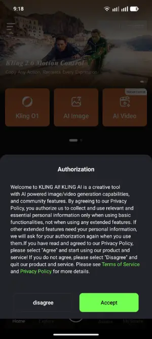 grant the requested permissions to Kling AI