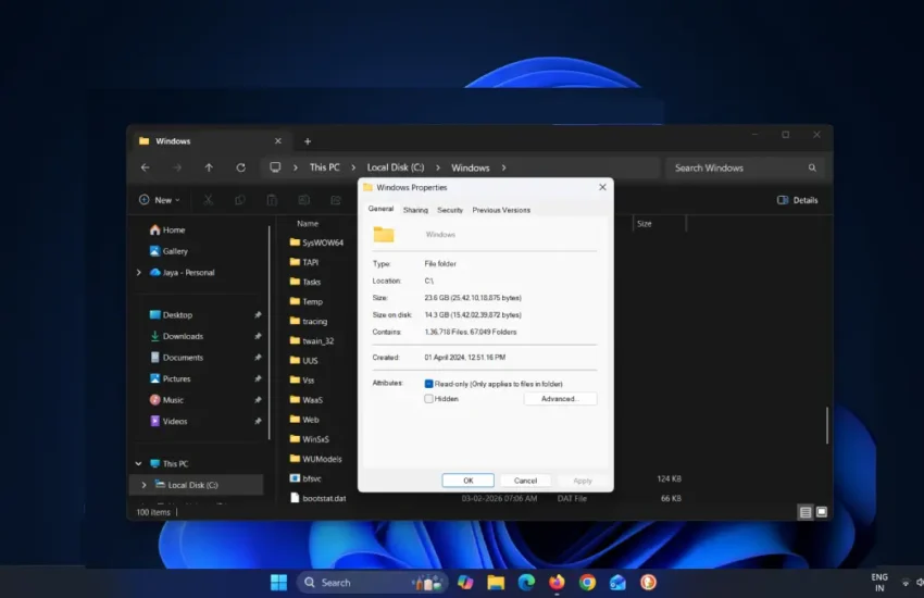 WinSxS folder properties